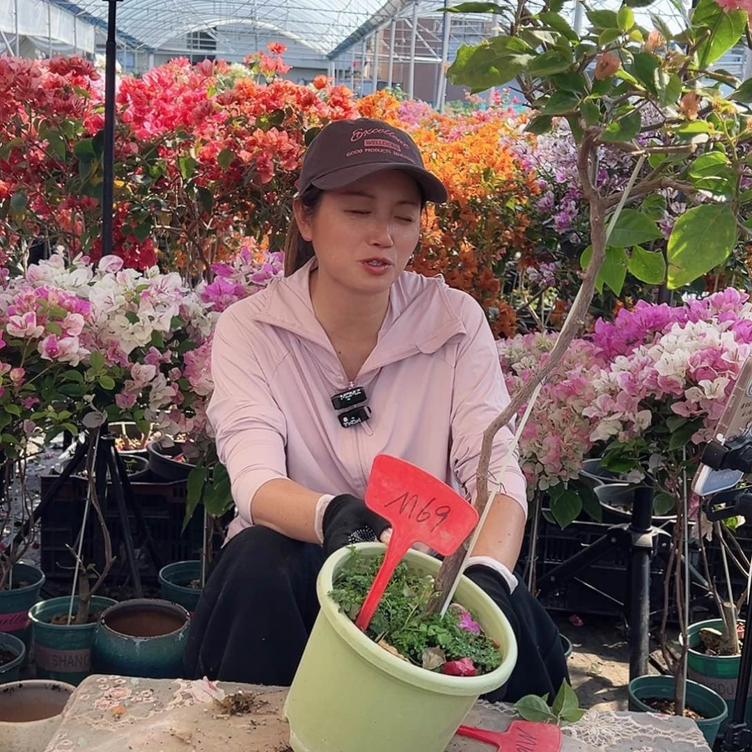 洁****大部分花苞少量开放M69橙粉公主