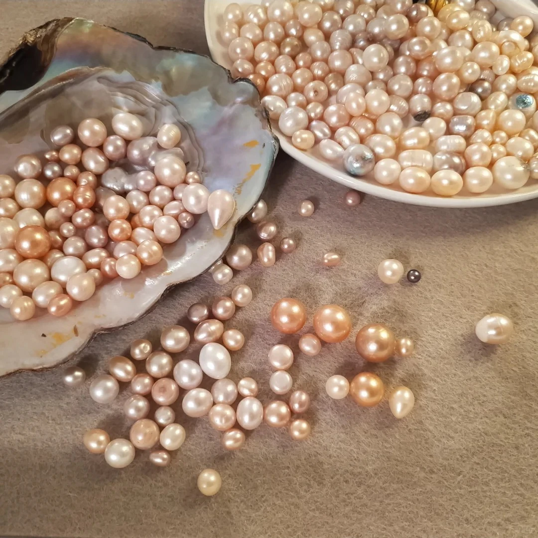 新人体验 招牌福利单珠蚌