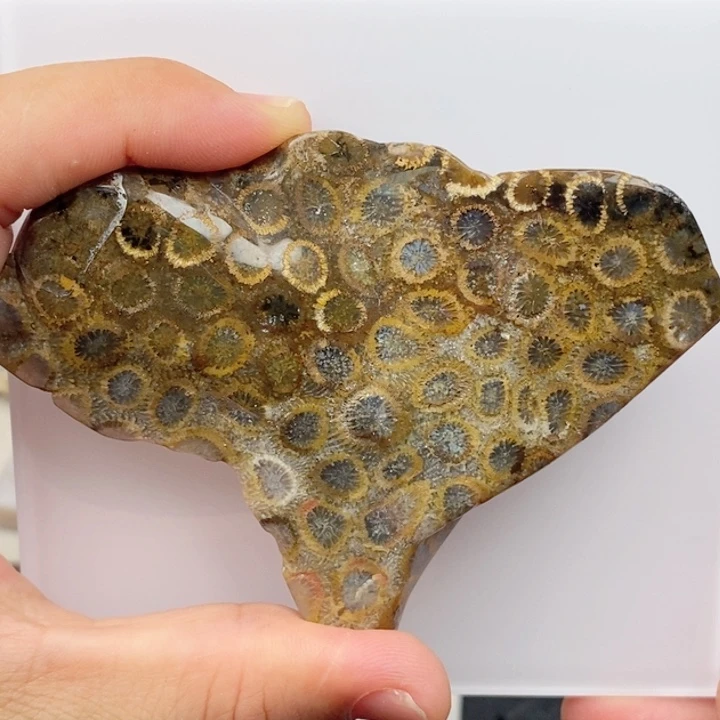 硅化玉手镯未镶嵌