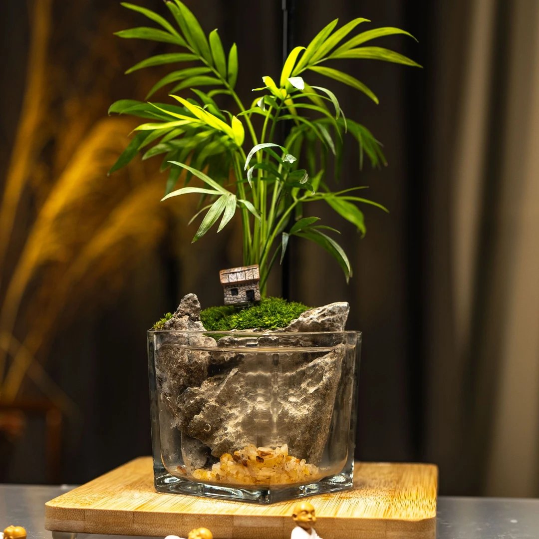 在水一方纯手工艺术苔藓微景观客厅绿植功能观赏摆件