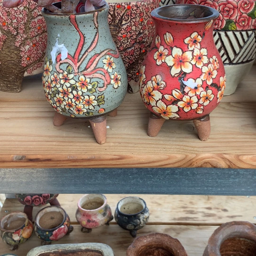 ?****?牛牛花开盆两个寄养多肉