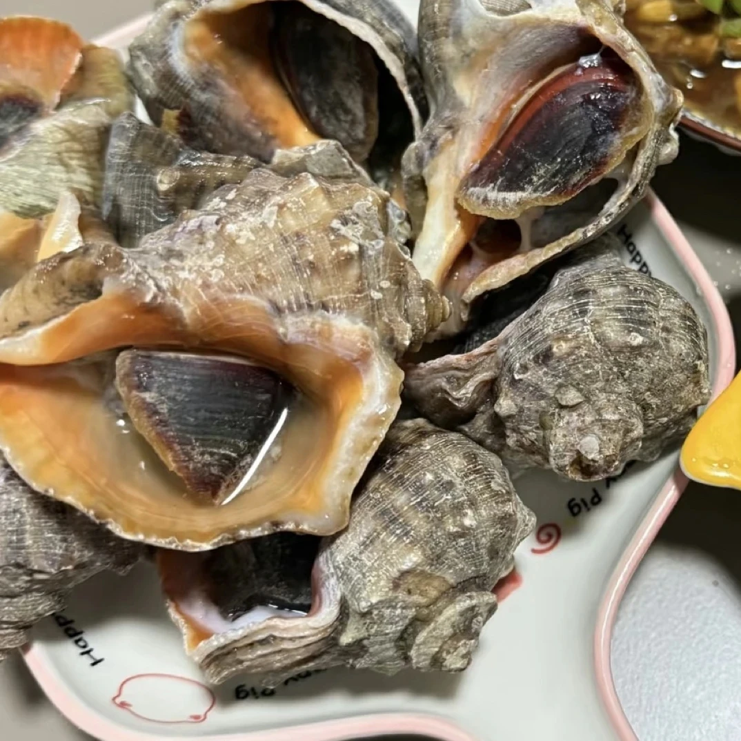 新鲜 大个 海螺 两斤