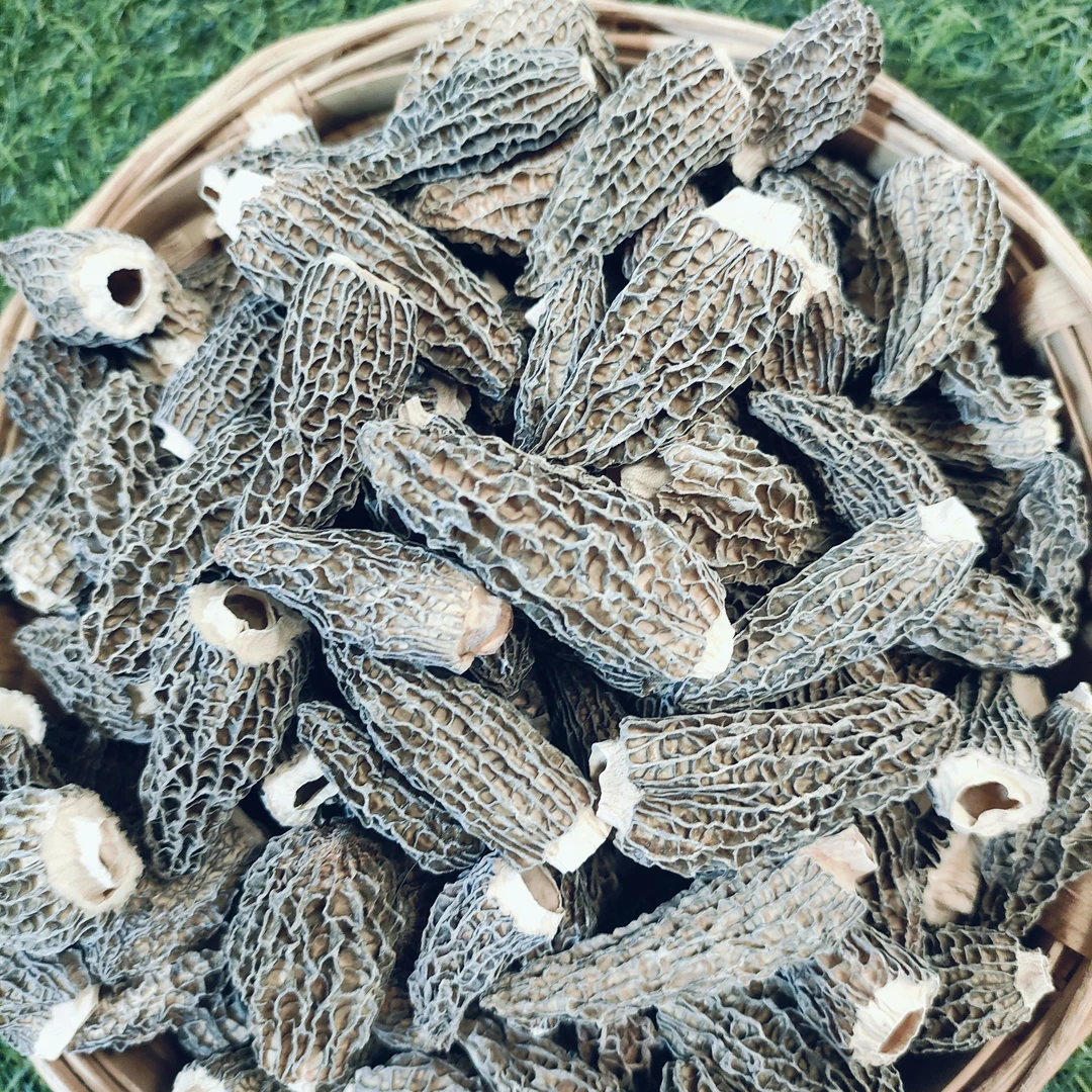 云南林地生长羊肚菌3- 5厘米顺丰包邮味道鲜浓适合煲汤