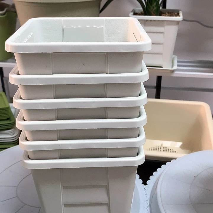 16白方无托微瑕6个