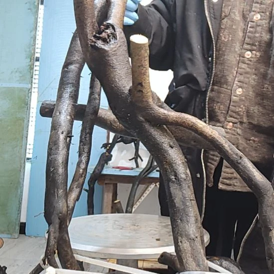 藤侧*一个一个一个一个