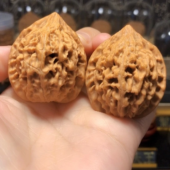 精品野生：秦岭鸡心