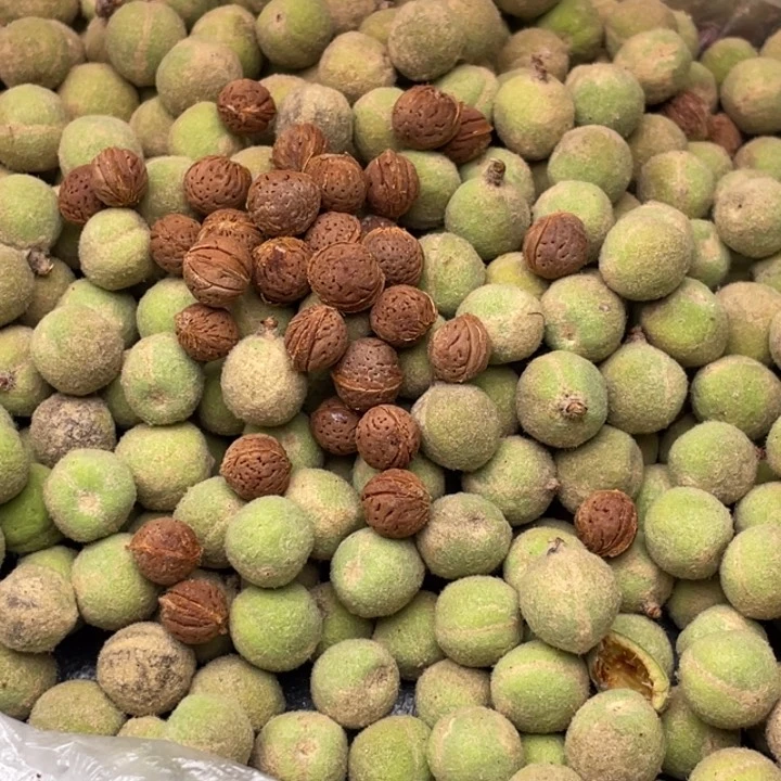 【闪购商品】核桃其他四**风青皮发货850米不退不换