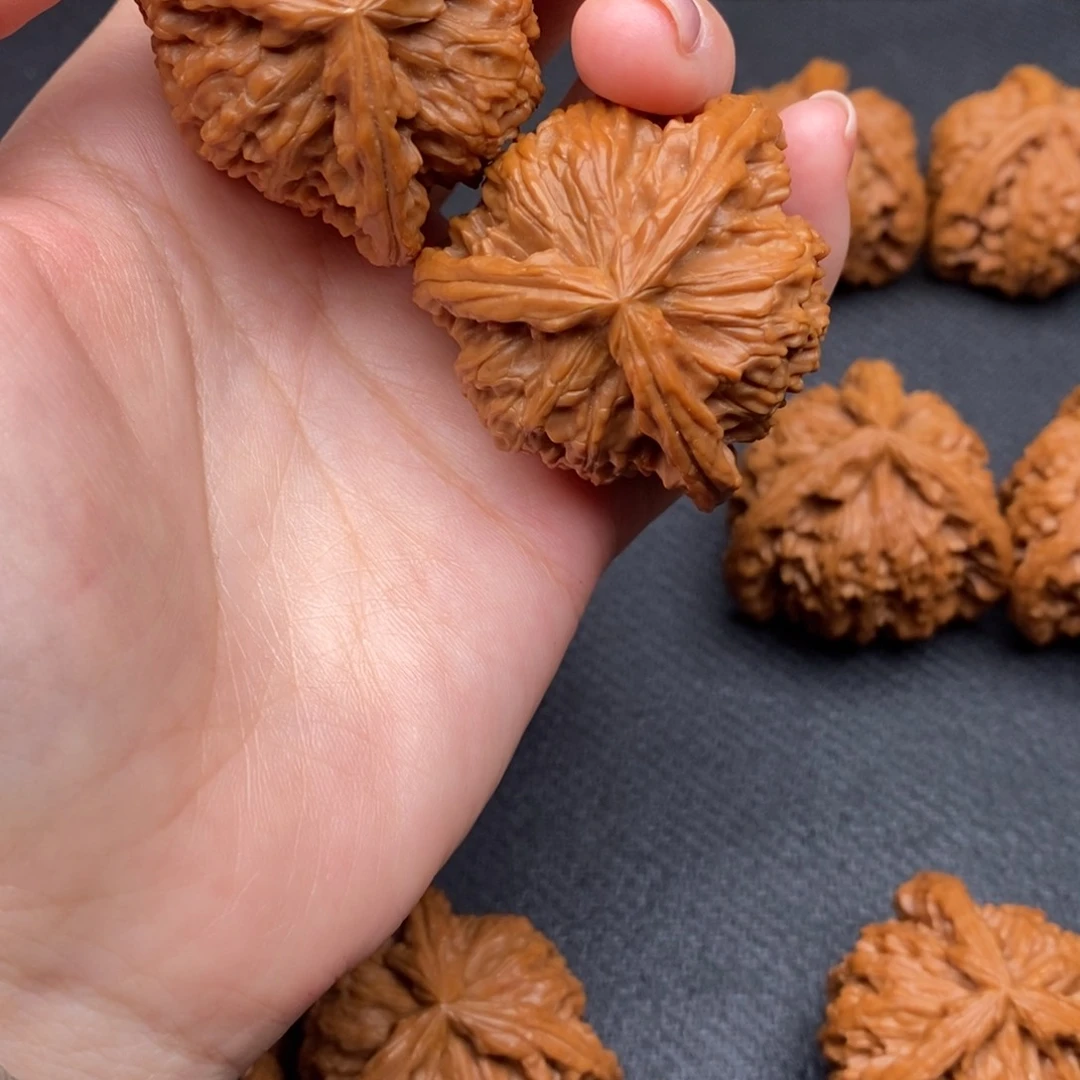 棠白狮子111111111