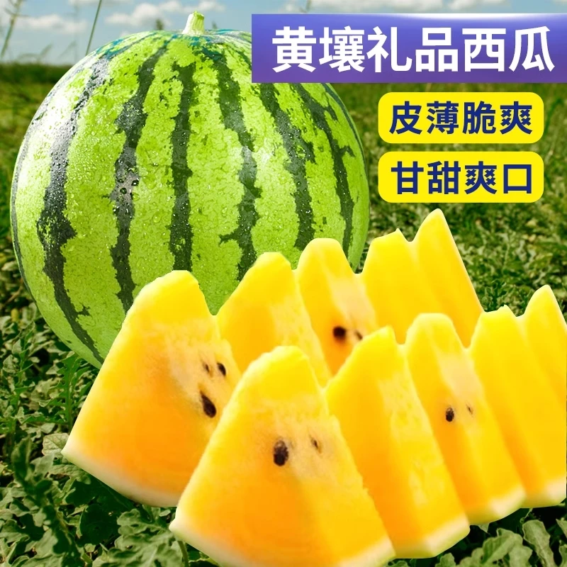 【头茬】现摘特小凤黄心西瓜新鲜当季水果冰淇淋黄肉西瓜黄瓤薄皮
