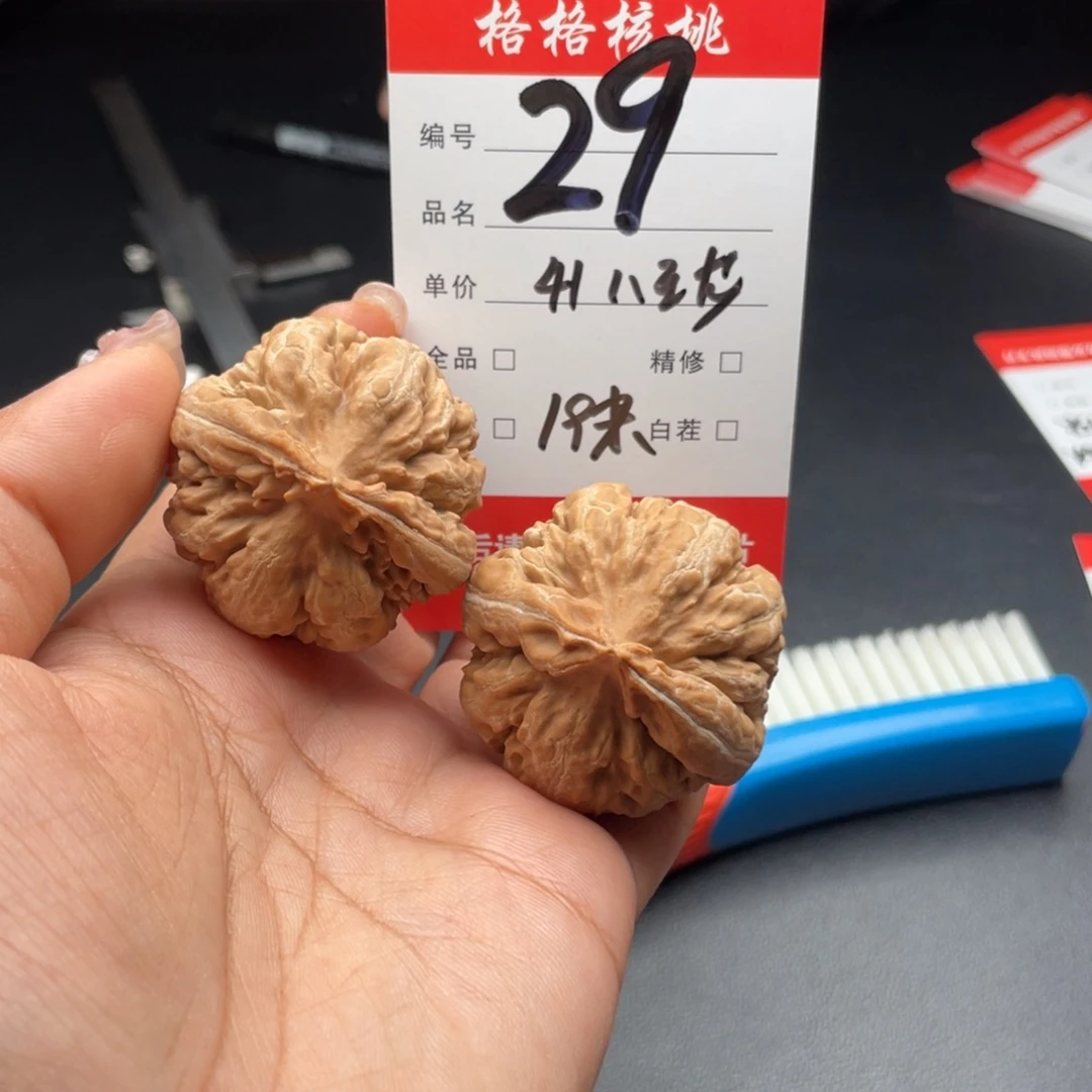 给***子把件文玩核桃41尺寸霸王龙