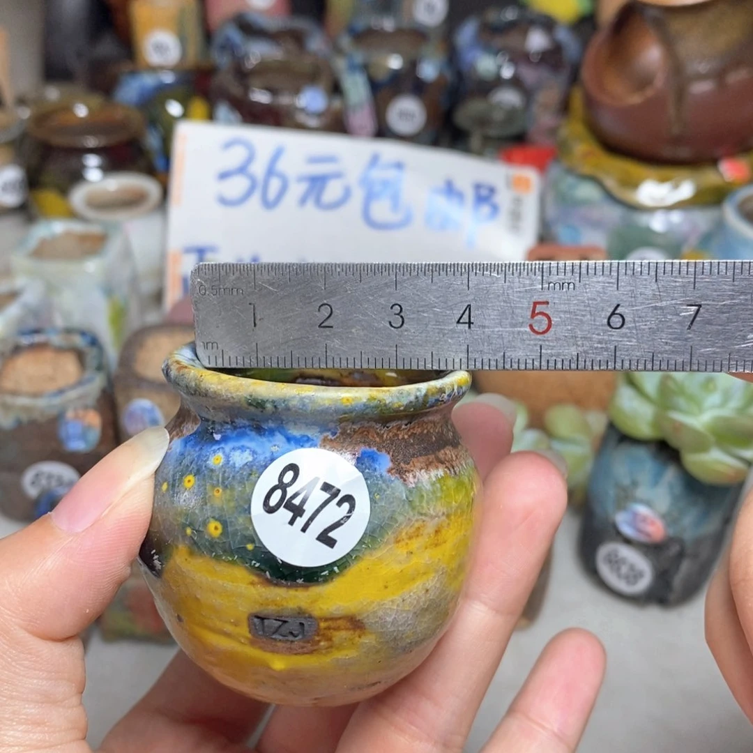 拍5送一个小礼物