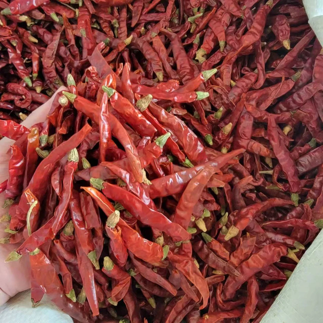 干红辣椒 香辣干辣椒