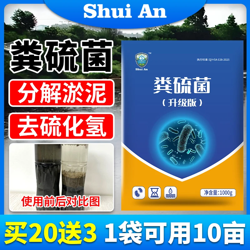 水安粪硫菌改底颗粒分解淤泥氧化底泥生物改底高活性改底效果好