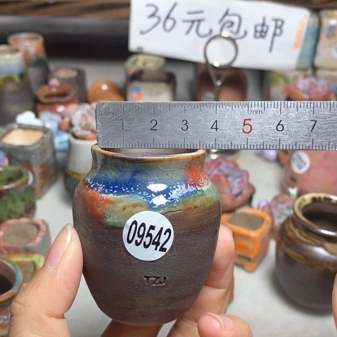 拍5送一个小礼物