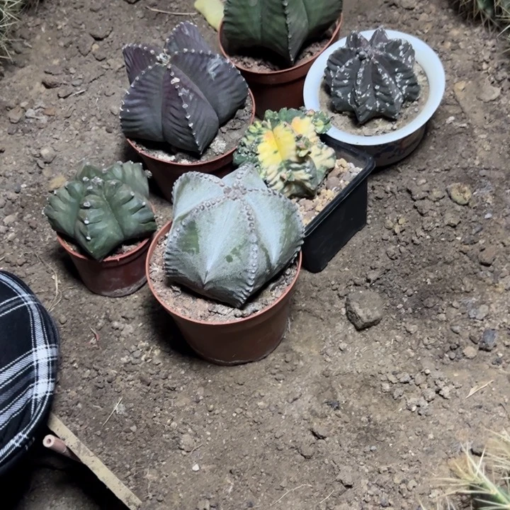 勇***鼠哈哈哈哈哈哈哈哈哈哈