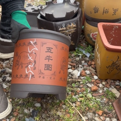 紫砂花盆紫砂花盆盆景盆栽