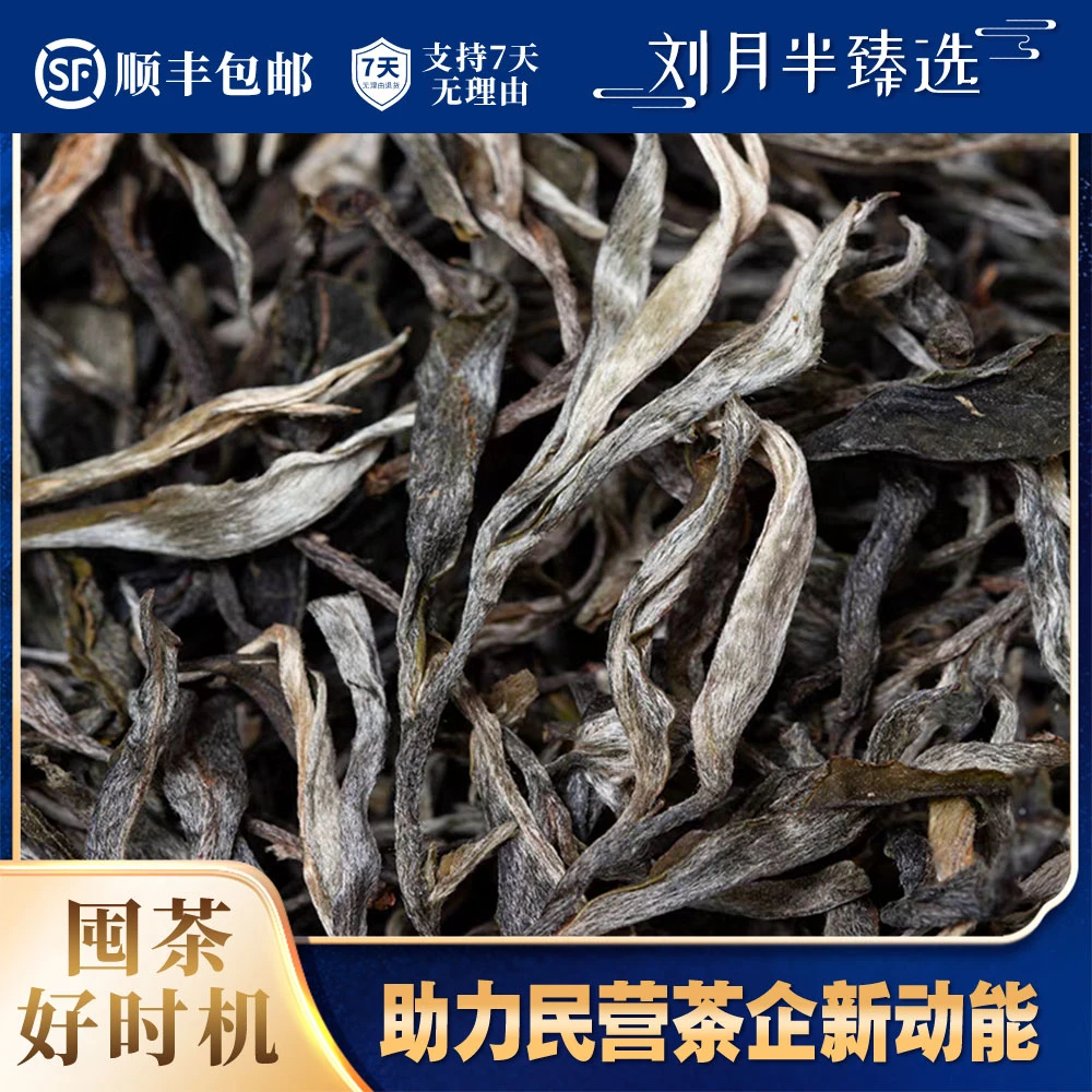 【南界普洱】2023年春 困鹿山贡茶园古树散茶 普洱茶生茶