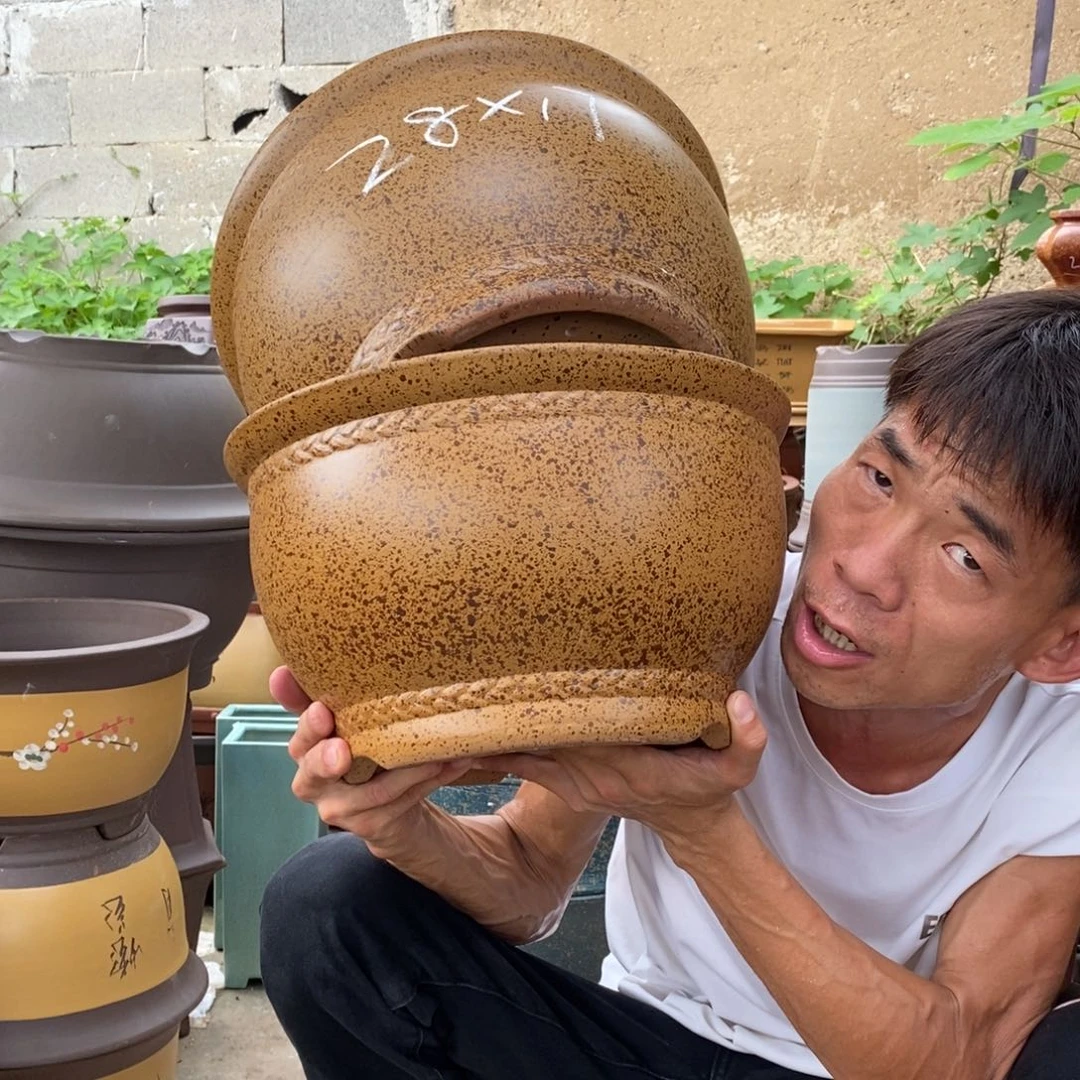 紫砂紫砂紫砂紫砂