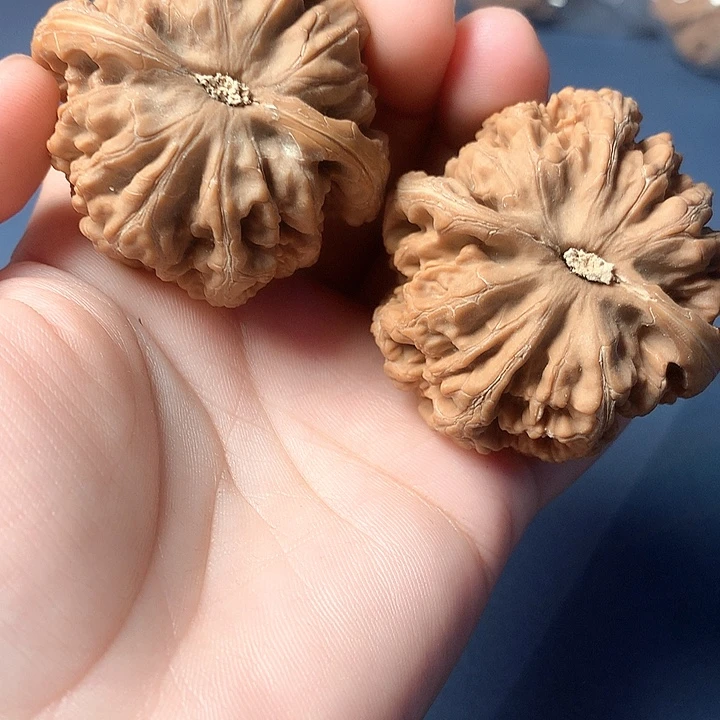 ٩***و文玩核桃吊坠粗筋