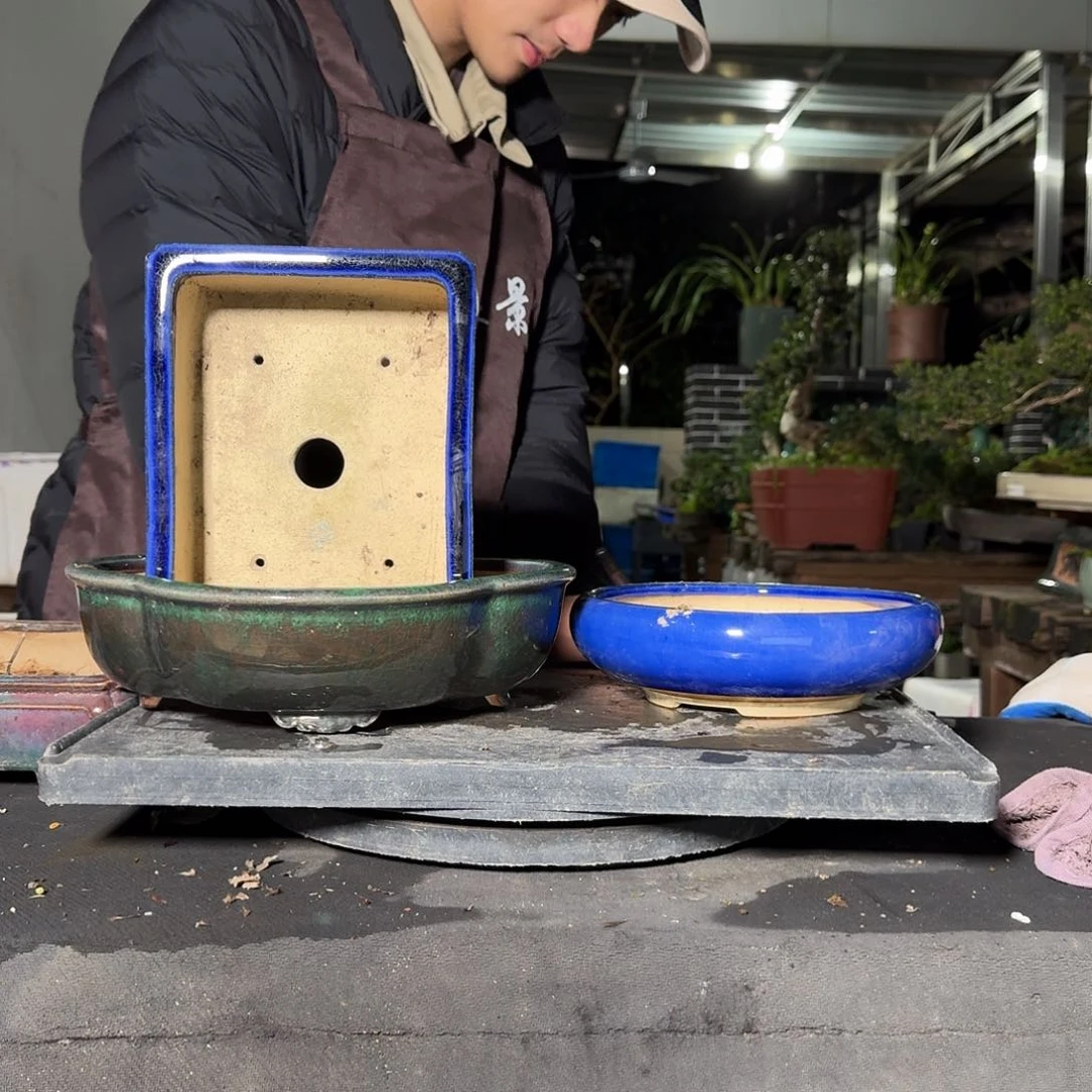 红陶莫*乾c xv b n m