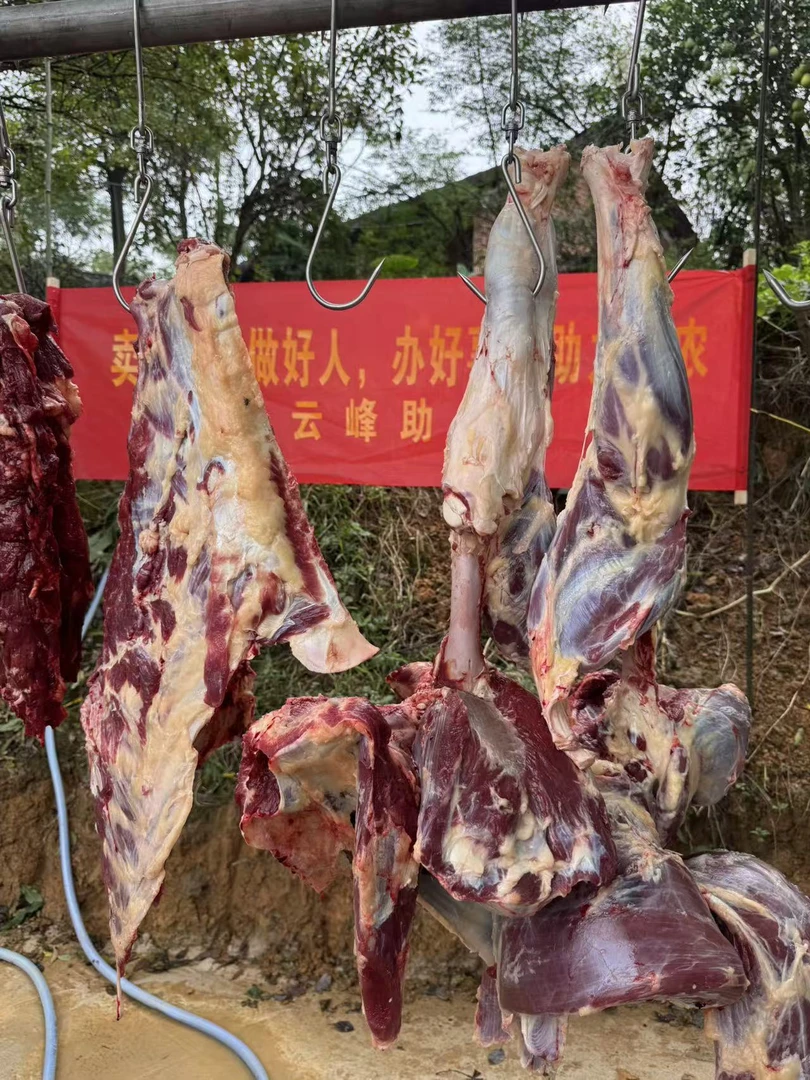【向书记补贴】正宗农家散养土黄牛肉（一单一称）