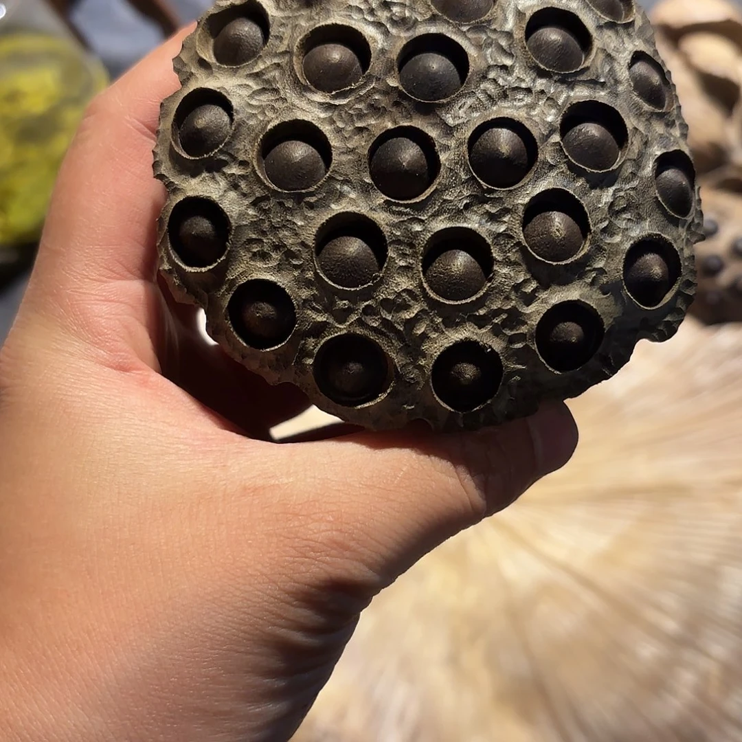 博***图金丝楠金丝楠木莲蓬