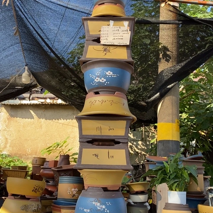 紫砂紫砂紫砂紫砂