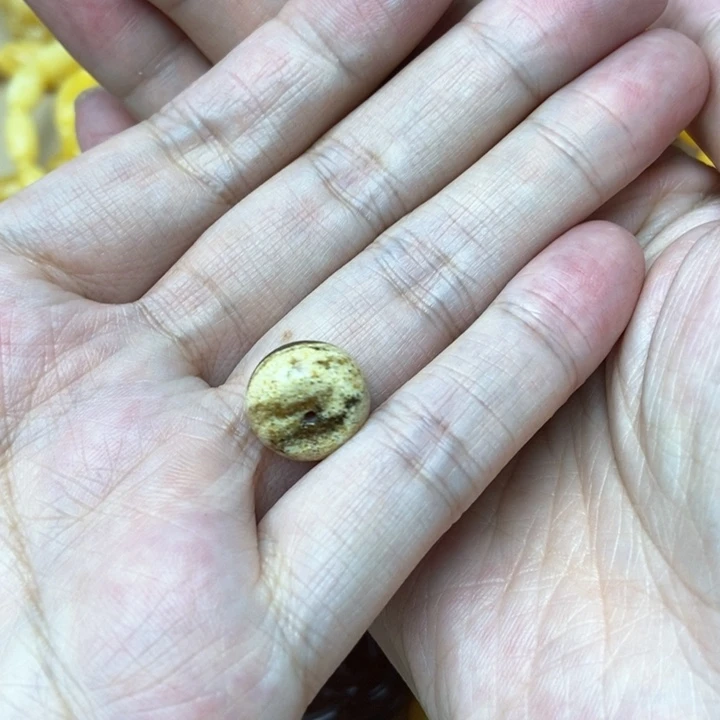 未镶嵌琥珀珠宝奇石1