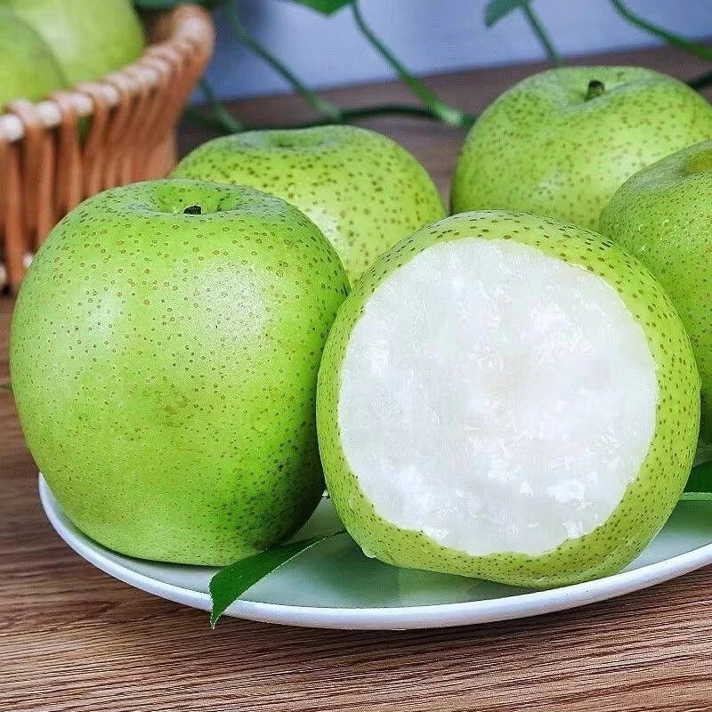 新鲜现摘翠冠梨当季水果脆甜多汁皮薄口感无渣