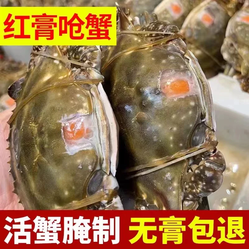 舟山红膏呛蟹整只咸呛蟹生腌海鲜水产