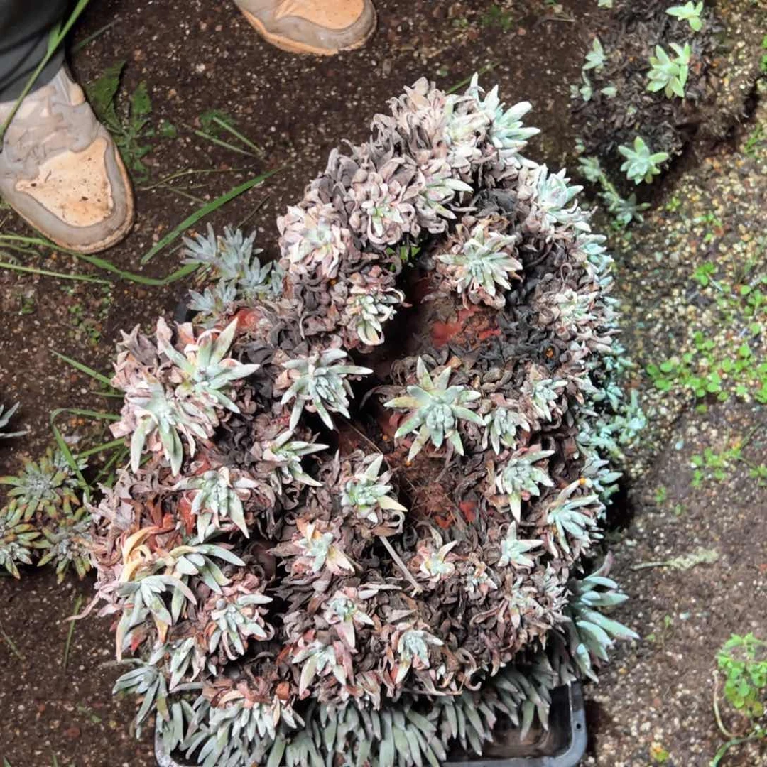 5584哈哈哈哈哈哈哈哈哈