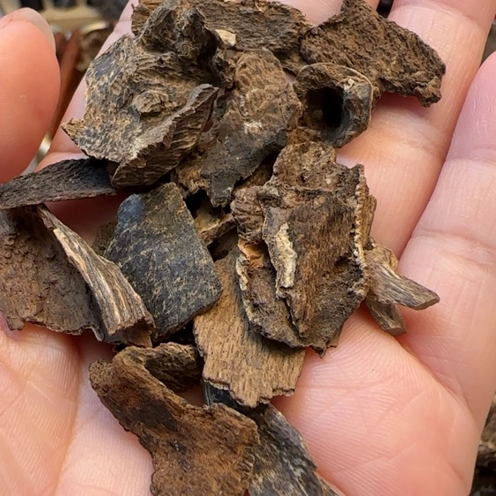 沉香摆件香港野生沉水包头10克