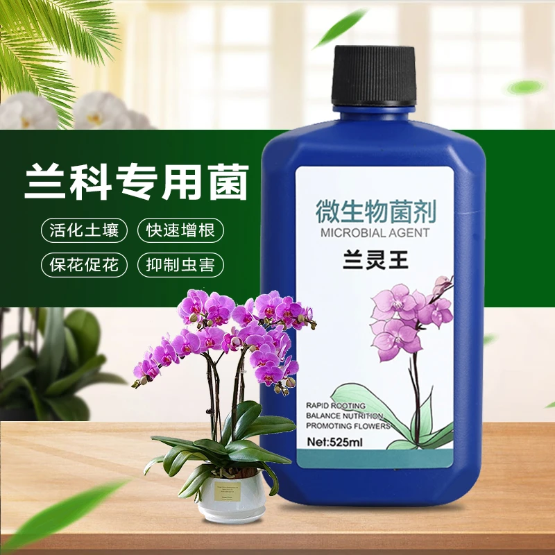 兰灵王兰花专用营养液蝴蝶兰君子兰水苔科抑菌多箭兰墨兰养花肥料