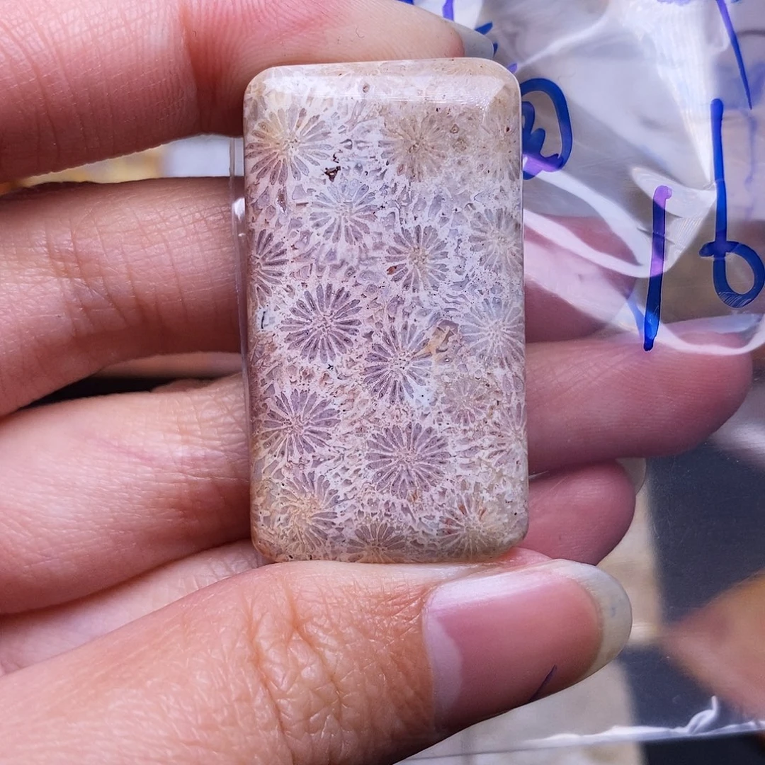 硅化玉珠宝奇石合金蔷*