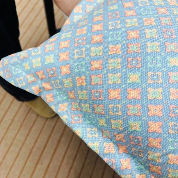 枕套一对！四叶草