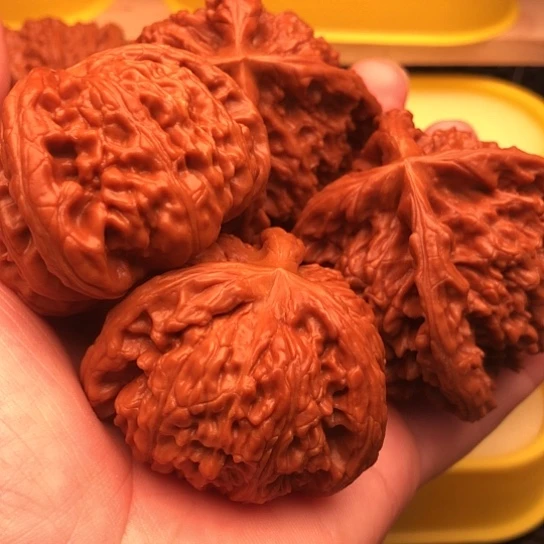 土***核桃核桃核桃核桃核桃