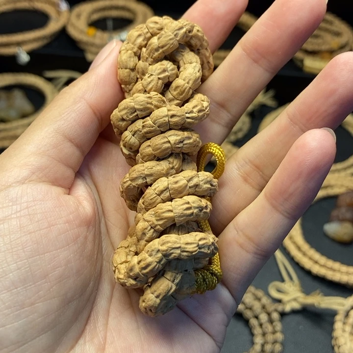 柏木其他刀锋大肠