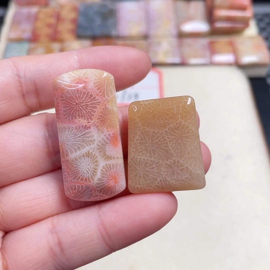 【闪购商品】未镶嵌吊坠(赠链)硅化玉?**～