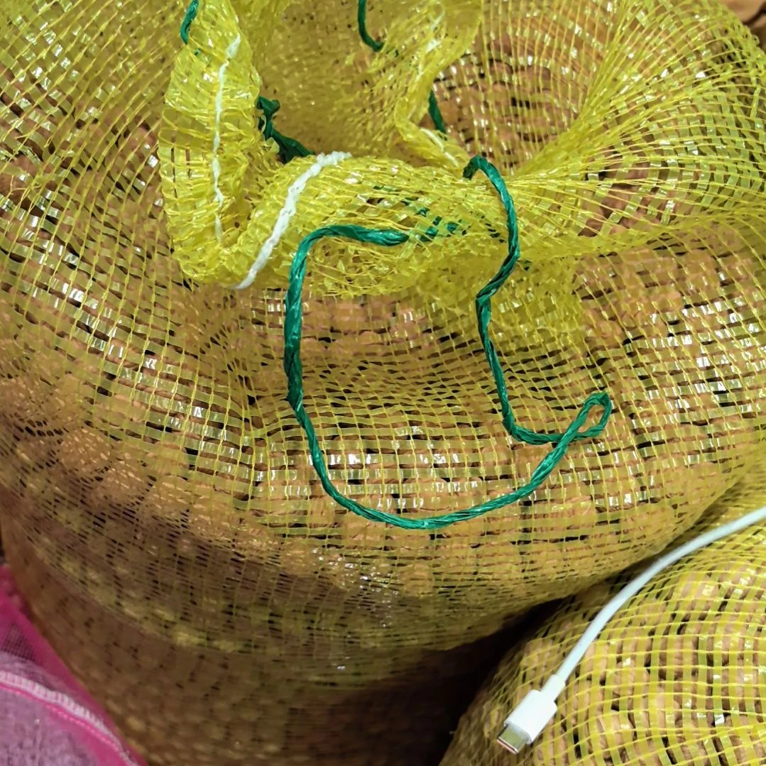 十***坊吊坠猴头核桃500金苹果过筛，尽量大