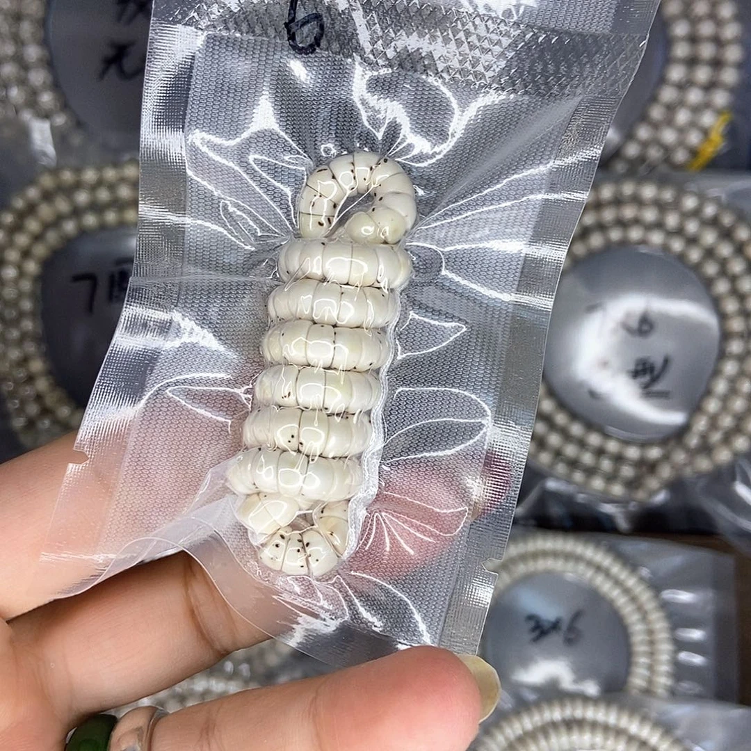 魔***四手串星月菩提星月