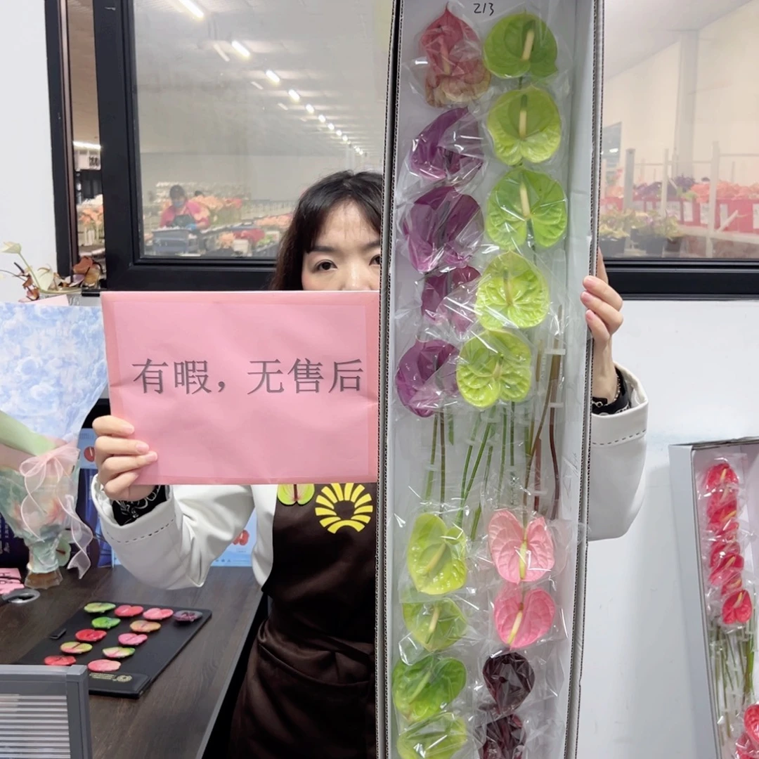 完全开放混色-20枝装无售后款213