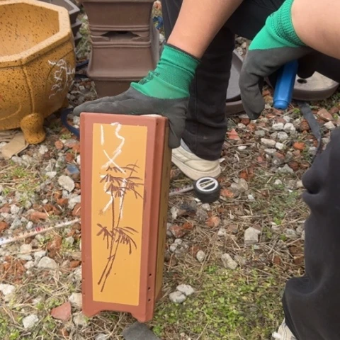 紫砂花盆紫砂花盆盆景盆栽