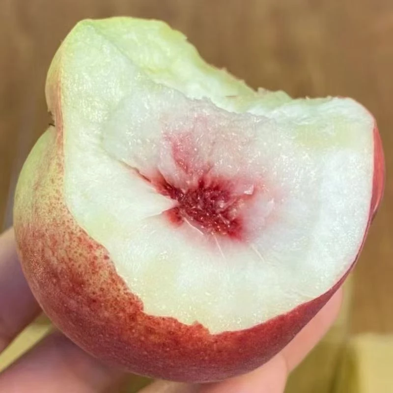 正宗青州小蜜桃】现摘桃子冬桃脆桃水蜜桃脆甜多汁应季新鲜水果