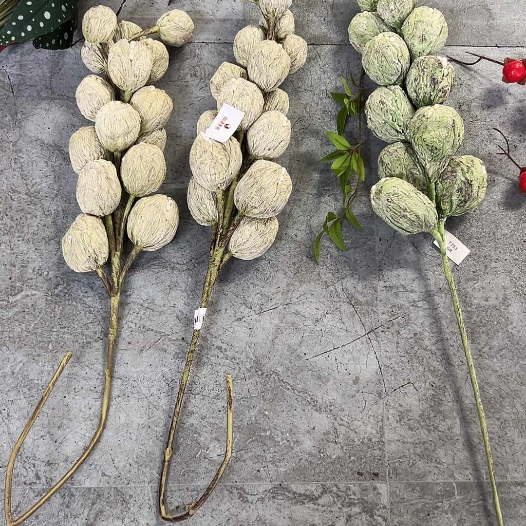 拍样品福利福利福利