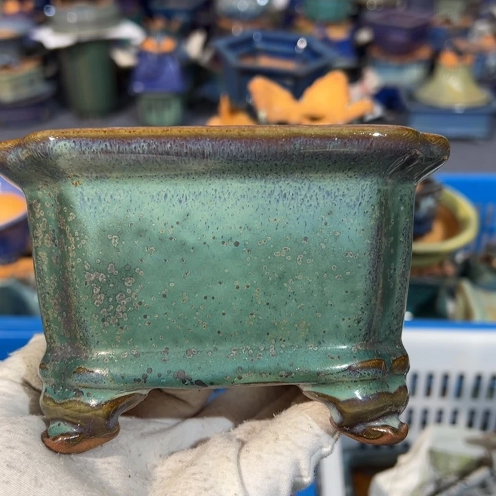 觉象花盆盆景盆栽