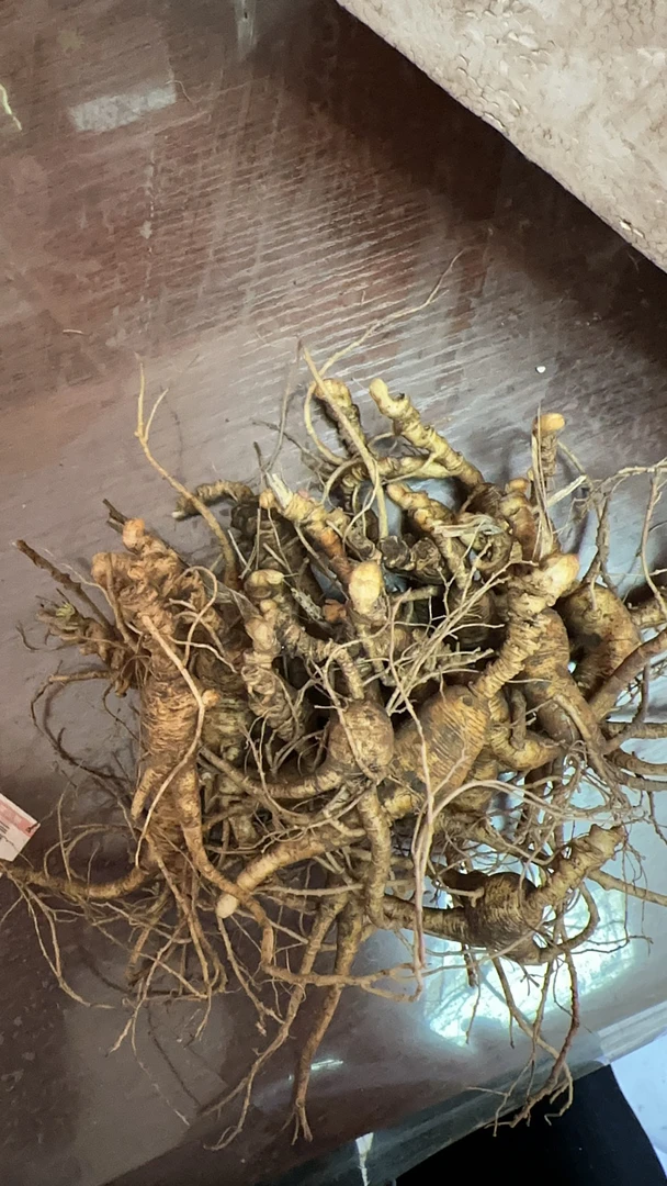 林下参 直播链接 一物一拍