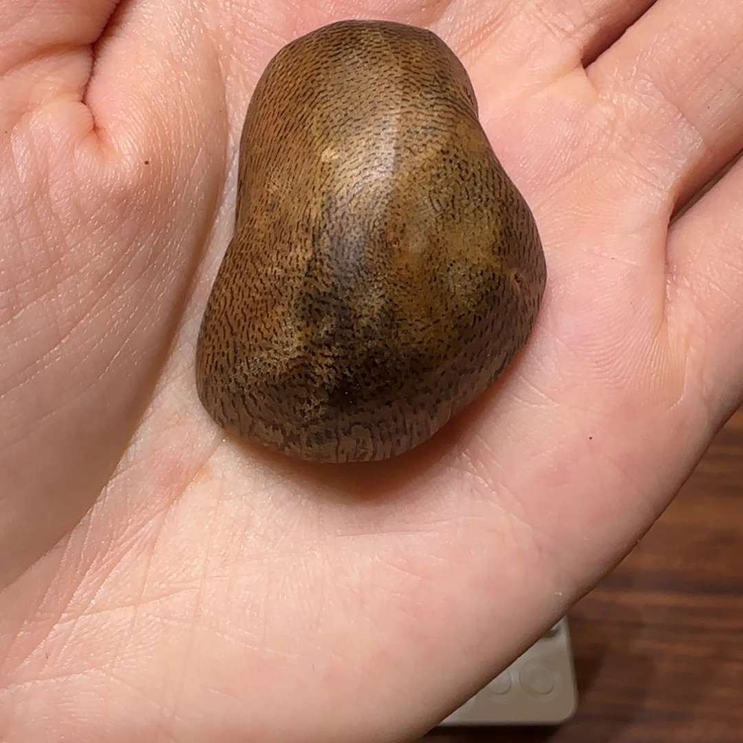 鱼***飞沉香碎屑沉香奇楠小包头6.1克