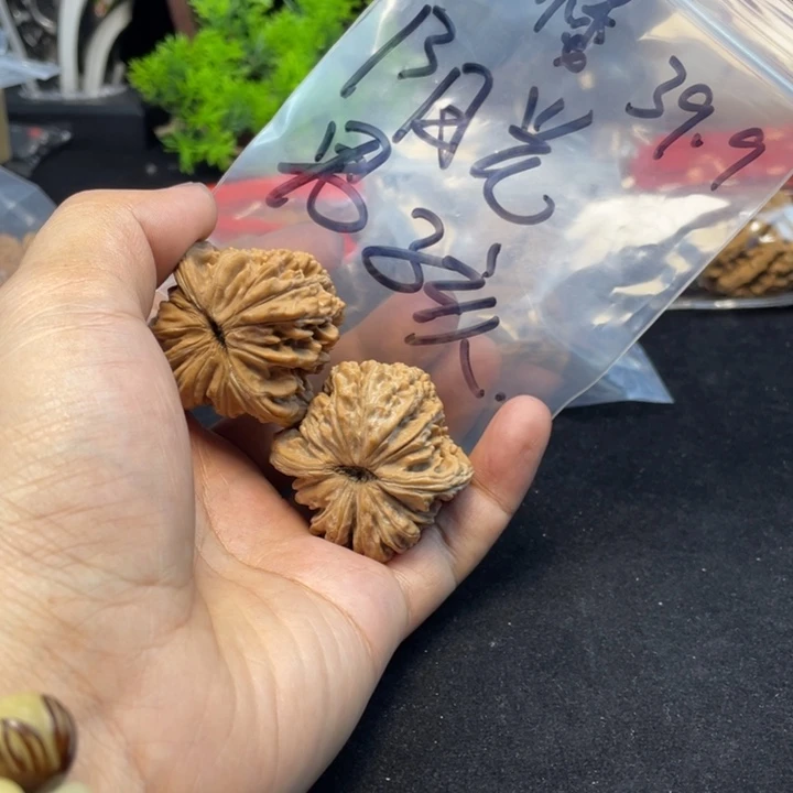 文玩核桃把件阳****孩
