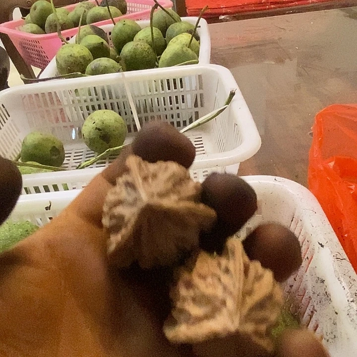 文玩核桃吊坠盘山三棱一对