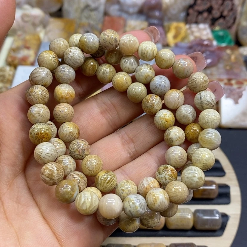 【闪购商品】硅化珊瑚（珊瑚玉）颈饰未镶嵌k 98